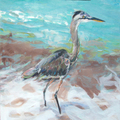 Beach Heron FL