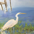 White Egret